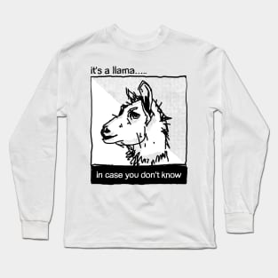 in case you don't know Long Sleeve T-Shirt